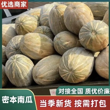 广东密本南瓜，老南瓜，产地直发，一手货源，大量有货