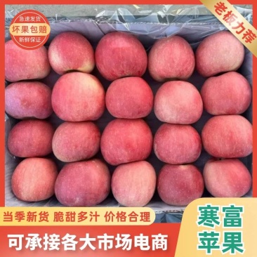 绥中寒富苹果大量出售，颜色全红，需要联系我