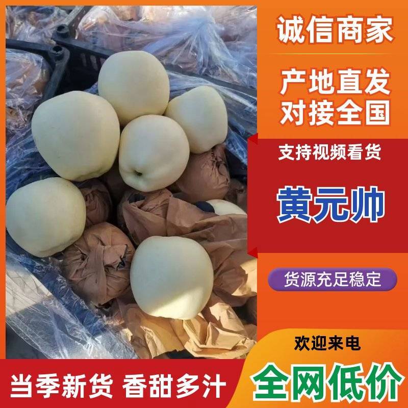精品黄元帅苹果继续装货中，产地一首货源，需要联系我