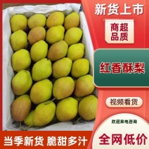 绥中红香酥梨大量出售，个头匀称，颜色鲜艳，需要联系我