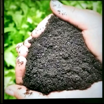 高温发酵鸡粪羊粪有机肥厂家直销