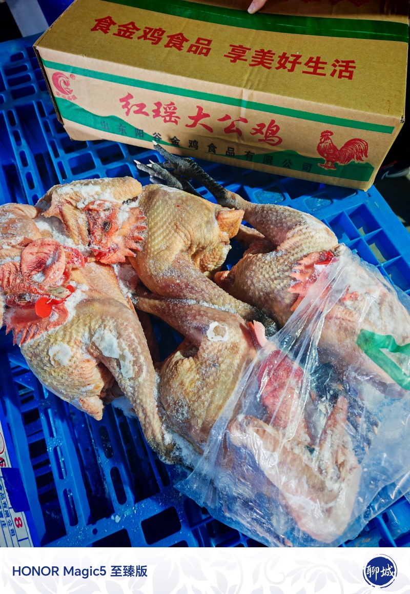 冻品大冠公鸡/三黄鸡
