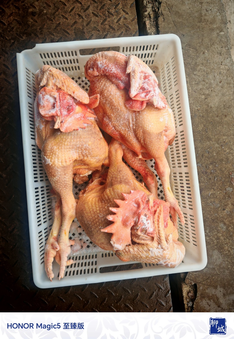 冻品大冠公鸡/三黄鸡
