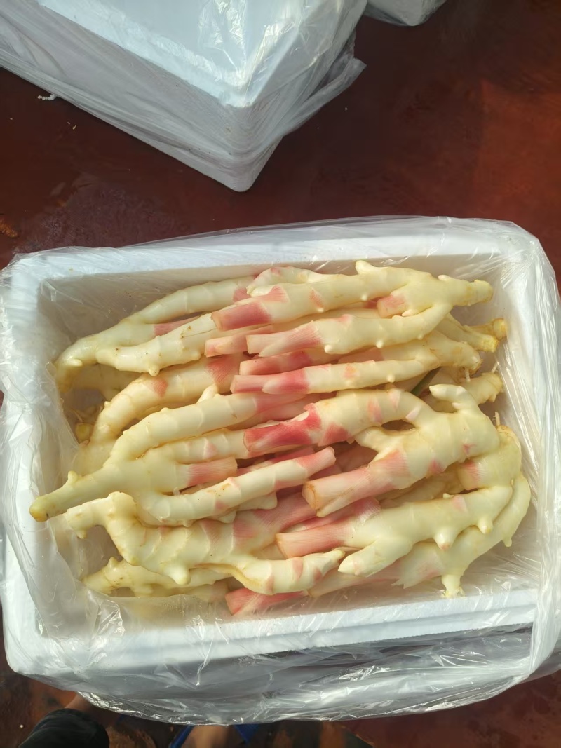 广东子姜一级货