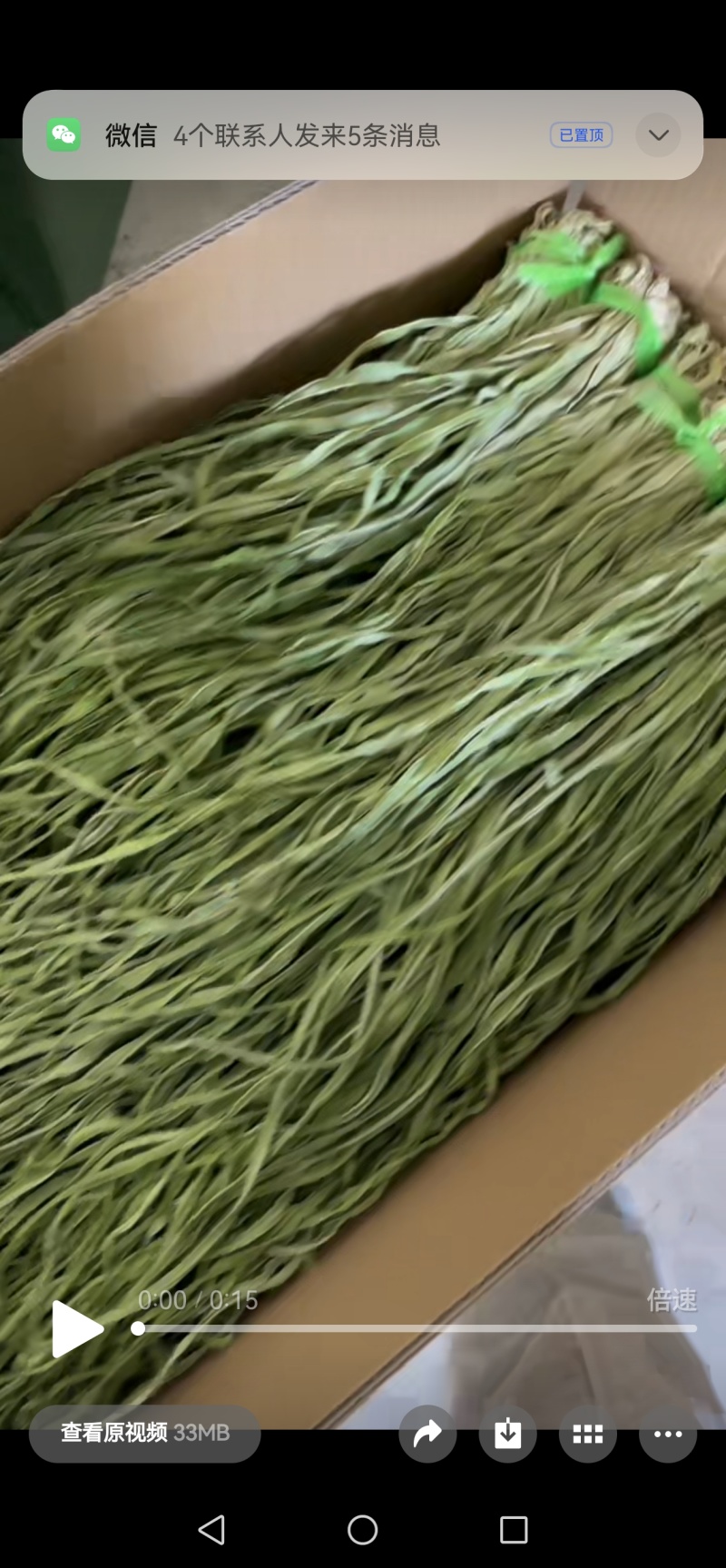 贡菜干批发