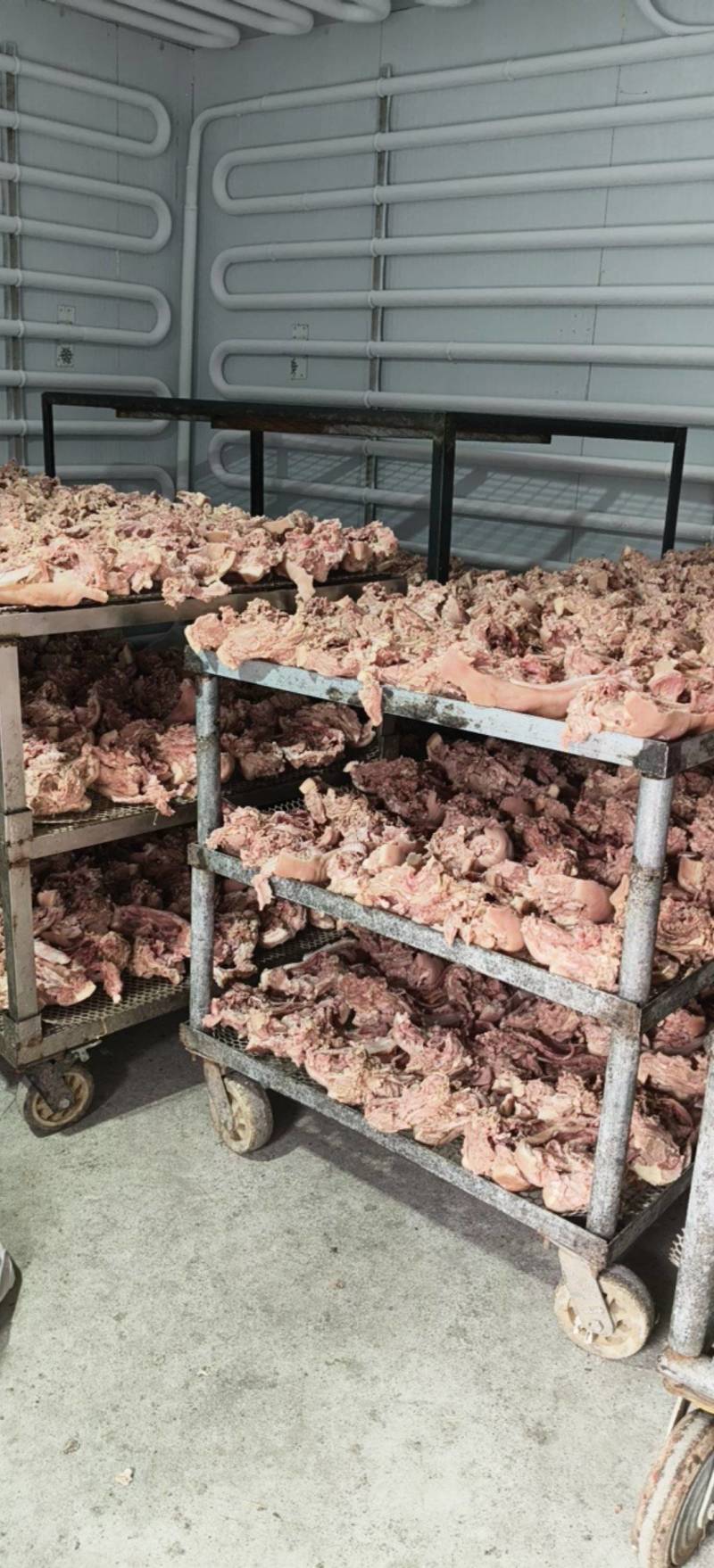 半成品猪头肉