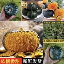 板栗南瓜粉糯香甜贝贝南瓜产地直供诚信经营全国发货