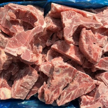 多肉龙骨块