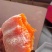 正宗富平县柿子树苗，吊柿饼专用富平柿饼树苗