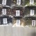 侧柏叶扁柏中药材陕西干货承接各类订单