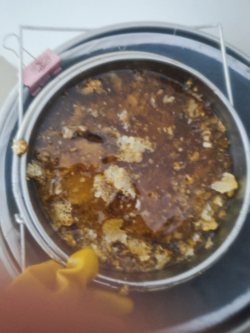 成熟精品中蜂蜂蜜油菜花蜜杂花蜜