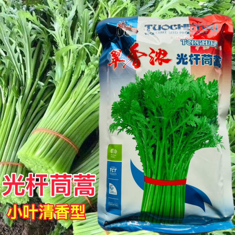 拖车头脆香浓茼蒿种子亩产量高四季种植生长快速光杆茼蒿翠