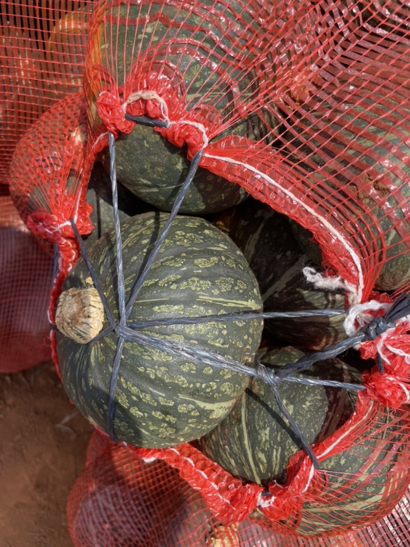 湛江精品板栗南瓜，个头1斤起，表皮光滑，价格美丽