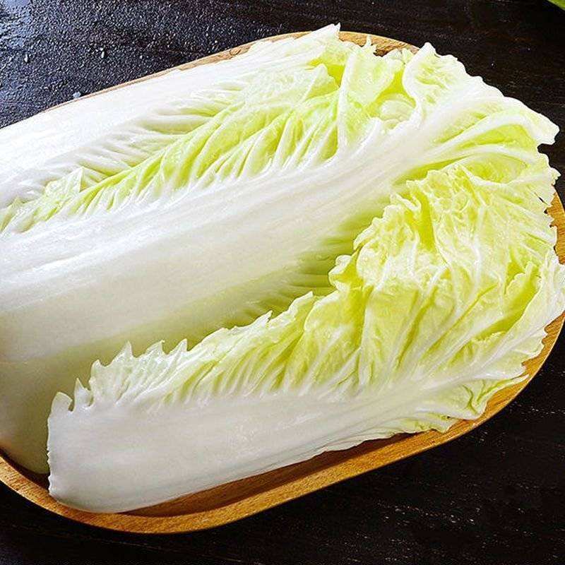 山东优质黄心大白菜产地直供新鲜脆嫩整车批发量大价优