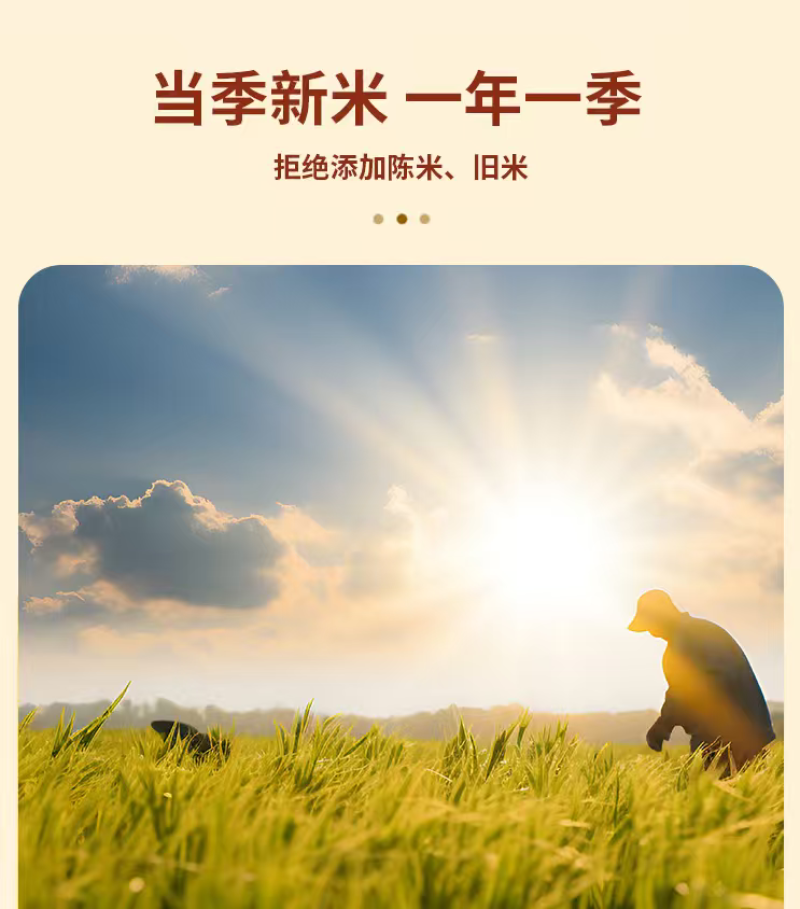 南粳9108一级粳米淮安原产新米，欢迎咨询，量大可谈