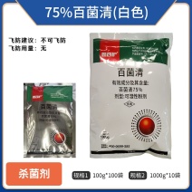 75百菌清1000克一袋对斑点落叶病霜霉病有很好的防效。
