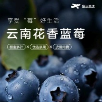 云南花香蓝莓基地直发，优质货源，品种齐全，可视频