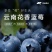 云南花香蓝莓基地直发，优质货源，品种齐全，可视频