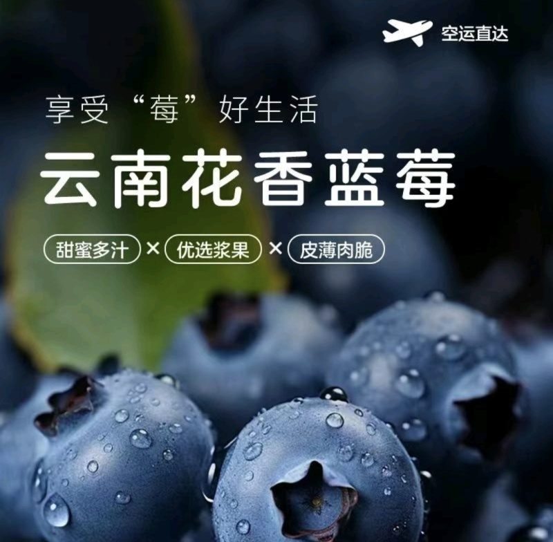 云南花香蓝莓基地直发，优质货源，品种齐全，可视频