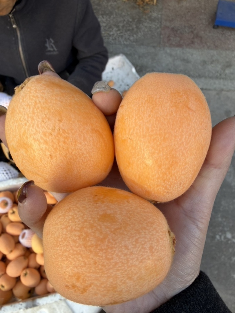 今天的果子好不好你们说的算