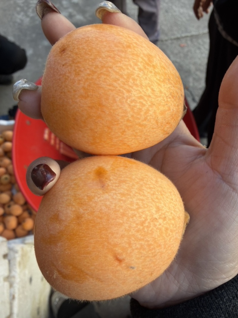 今天的果子好不好你们说的算