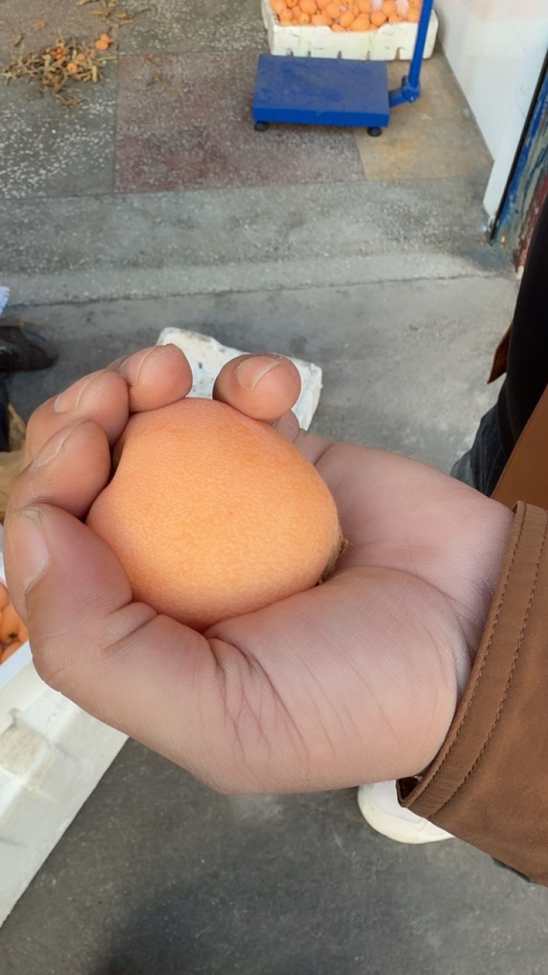 今天的果子好不好你们说的算