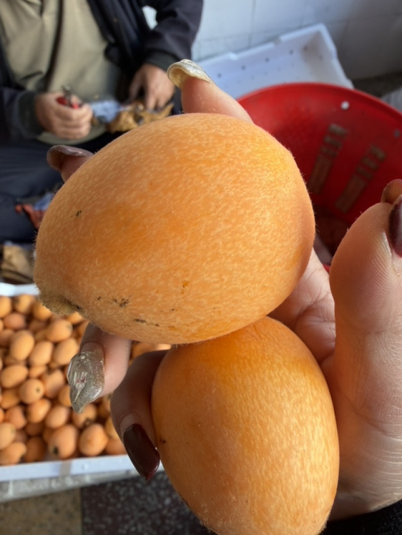 今天的果子好不好你们说的算