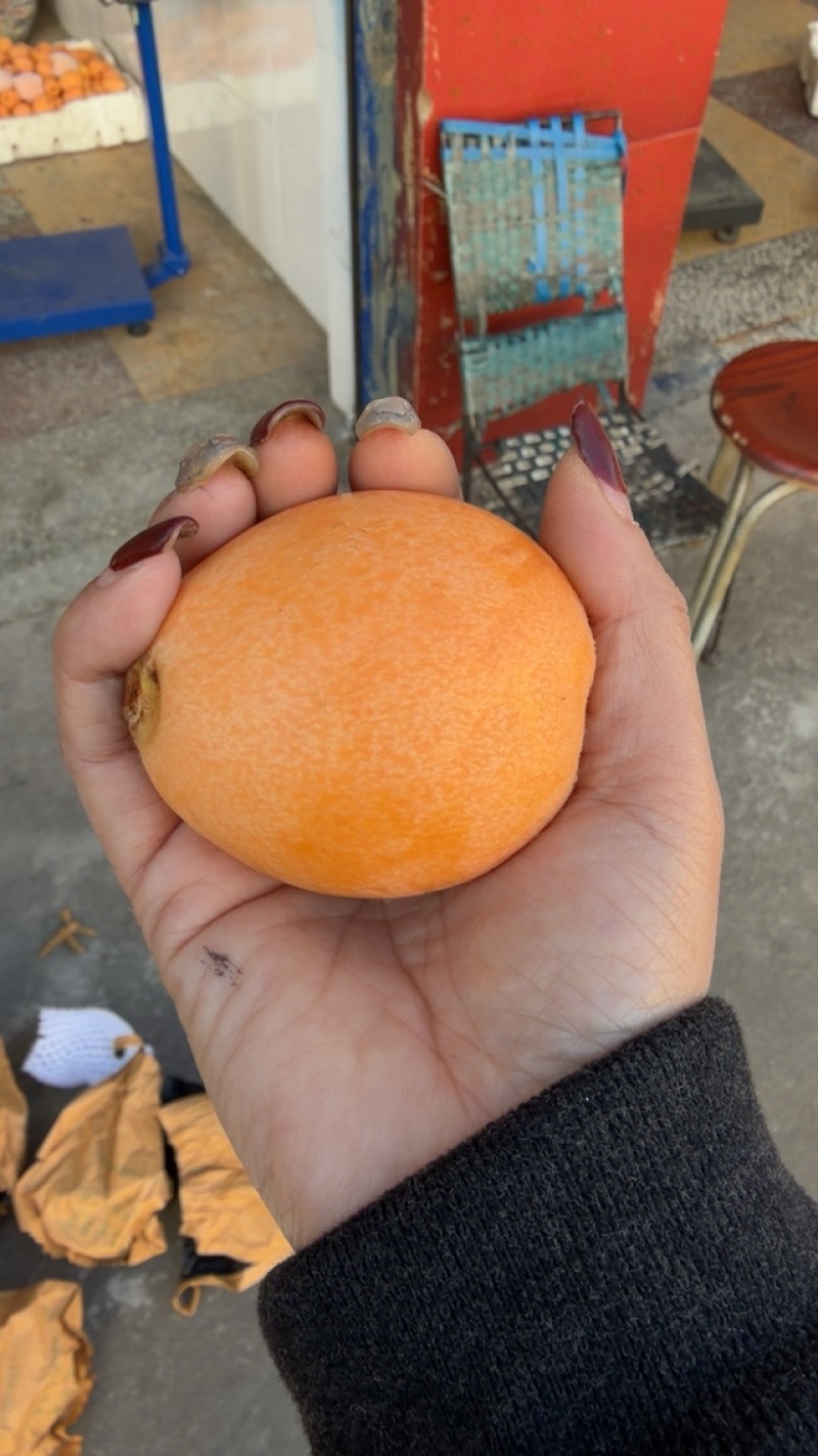 今天的果子好不好你们说的算