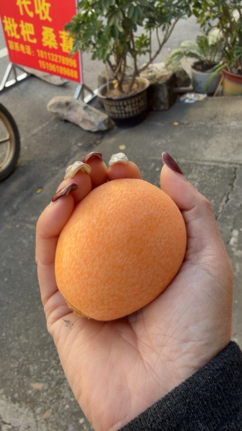 今天的果子好不好你们说的算
