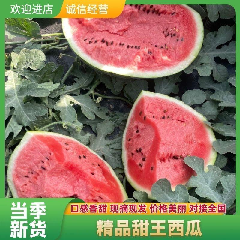 无籽有籽甜王西瓜，大量上市，支持按需做货按需包装价格合理