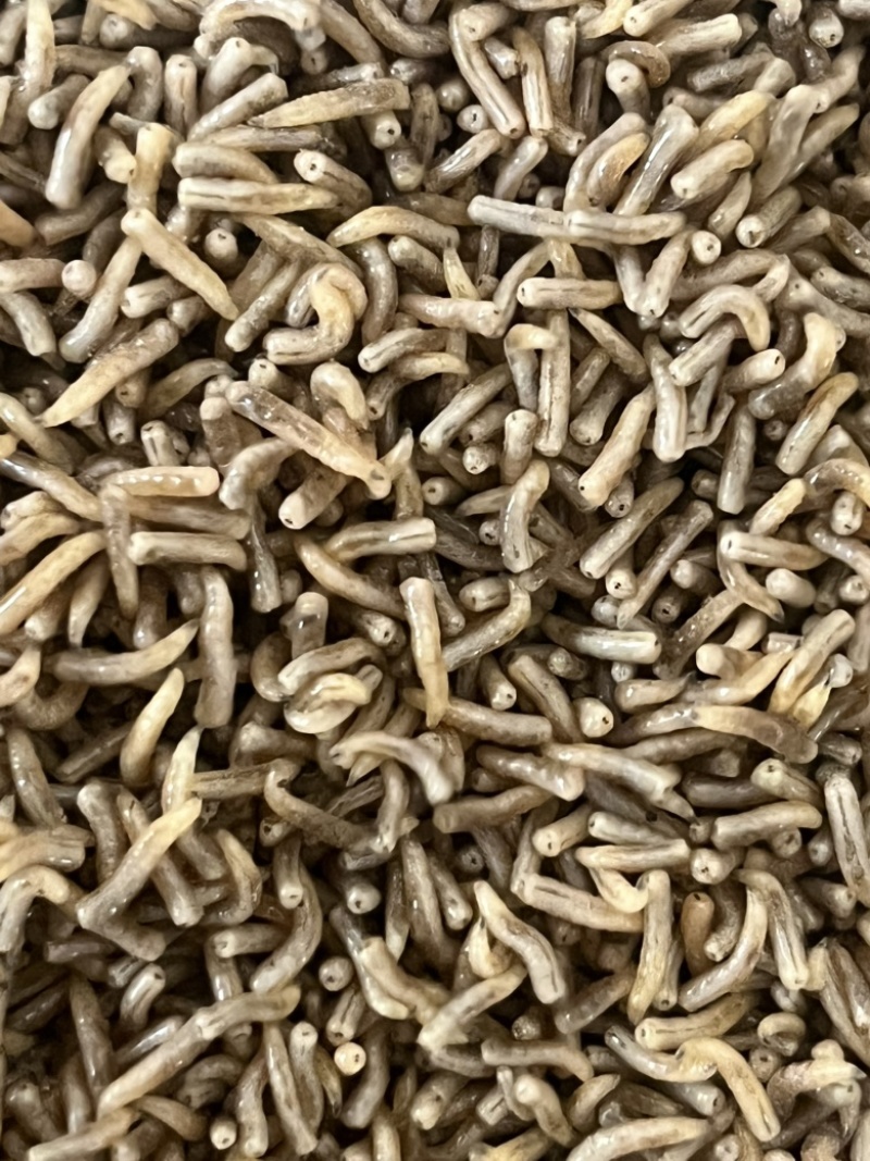 鱼、虾、蟾蜍、黑斑蛙昆虫饵料