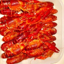 清水冷冻鲜活小龙虾新鲜456龙虾食材批发活虾盒装速冻冷冻