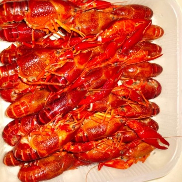 清水冷冻鲜活小龙虾新鲜456龙虾食材批发活虾盒装速冻冷冻