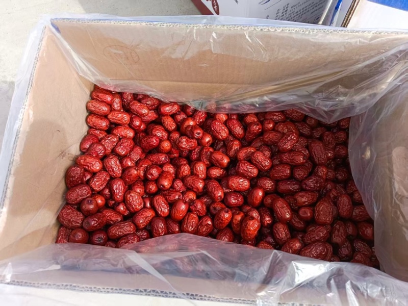 新疆灰枣产地直供全面有货保质保量欢迎采购