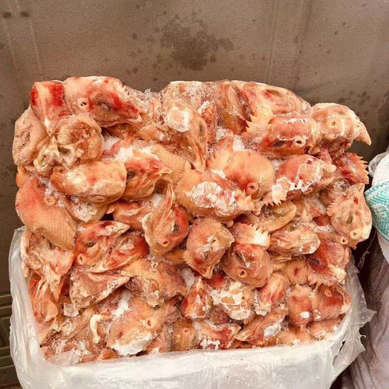 饲料鸡头1000+