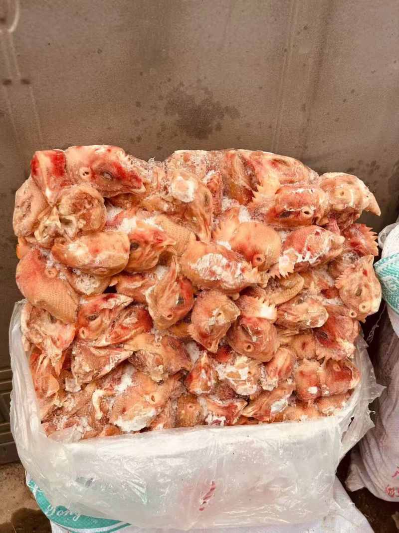 饲料鸡头1000+