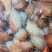 青蟹蟹钳肉（品质高，肉不散）1斤一包