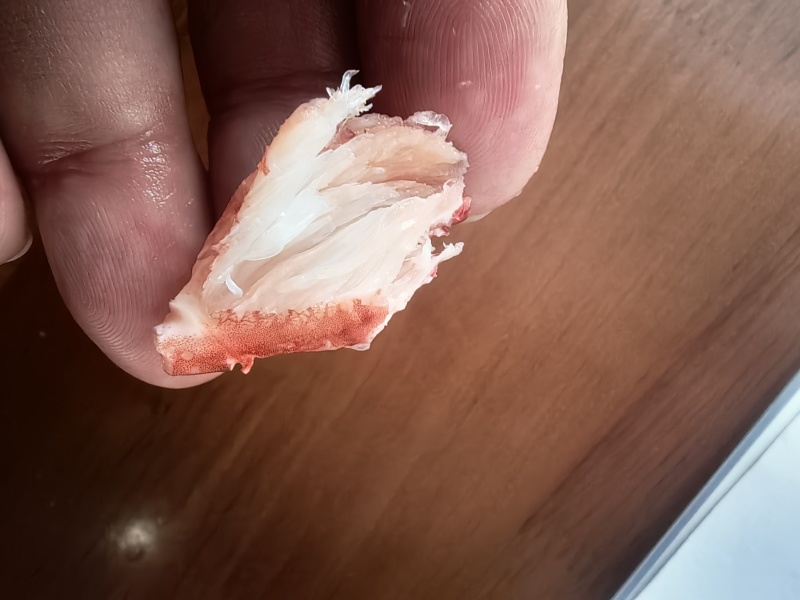 青蟹蟹钳肉（品质高，肉不散）1斤一包
