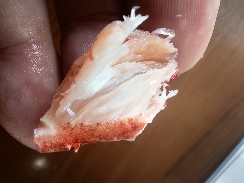 青蟹蟹钳肉（品质高，肉不散）1斤一包