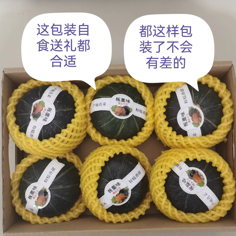 《贝贝南瓜》广西沙地种植/一件代发/电商直播供应链货源