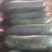 冬瓜