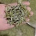 黄山毛峰茶叶自家种植品质保证，量大从优，价格可谈视频看货