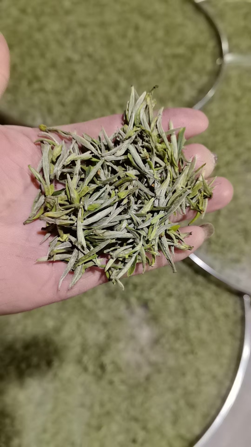 黄山毛峰茶叶自家种植品质保证，量大从优，价格可谈视频看货