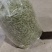 黄山毛峰茶叶自家种植品质保证，量大从优，价格可谈视频看货