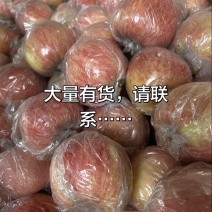 运城苹果，一手货源，产地直发，大量有货