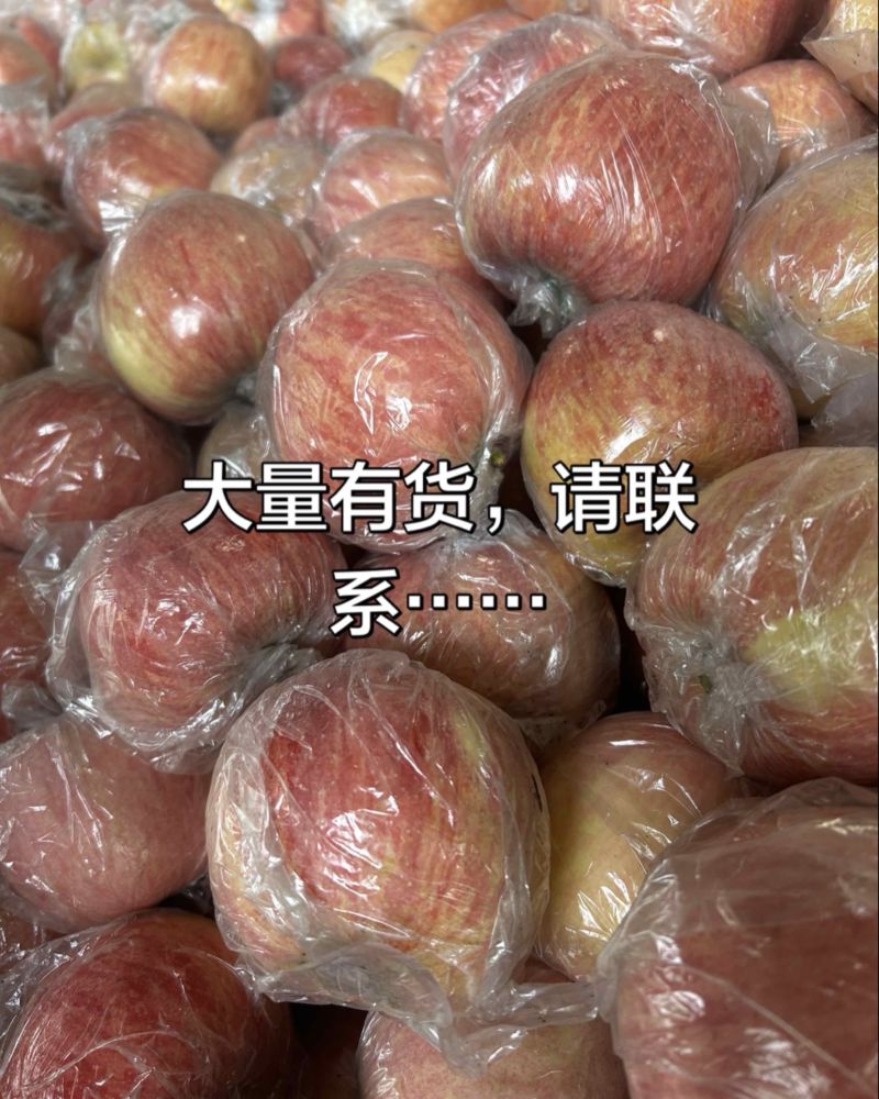 运城苹果，一手货源，产地直发，大量有货