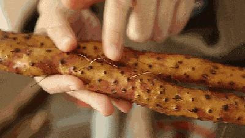 河南焦作温县垆土铁棍山药