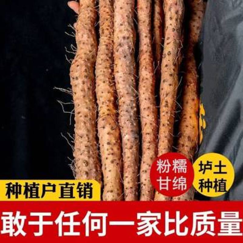 河南焦作温县垆土铁棍山药