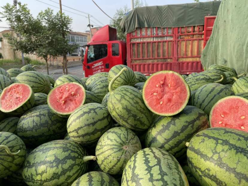 【推荐】小糖丸西瓜安徽砀山西瓜皮薄脆甜对接全国