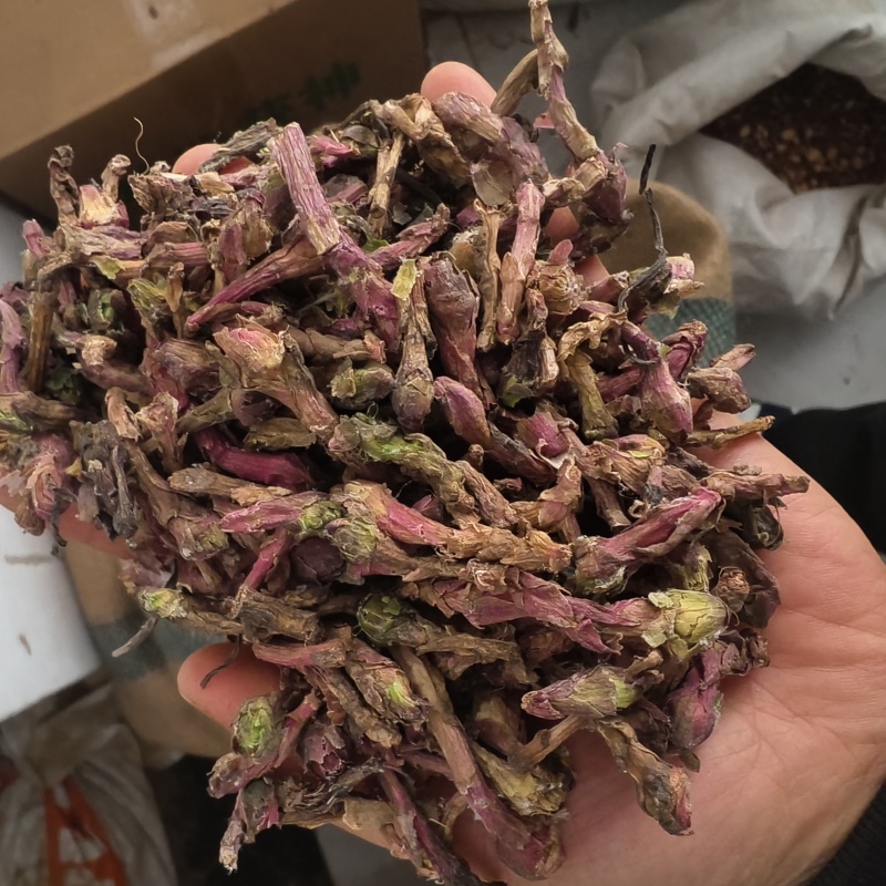 款冬花，新货质量好，